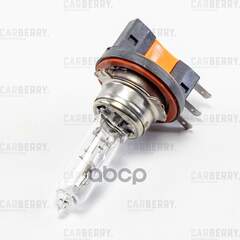 Купить ЛАМПА H15 12V (15/55W) DAY&NIGHT H15 12V (15/55W) PGJ23T-1 31CA14