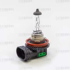 Купить ЛАМПА H11 12V (55W) DAY&NIGHT H11 12V (55W) PGJ19-2 31CA5