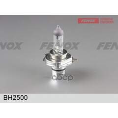 Купить ЛАМПА ГАЛОГЕННАЯ  H19 12V 60/55W PU43T-3 BH2500