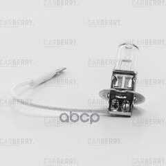 Купить ЛАМПА Н3 12V (55W) DAY&NIGHT Н3 12V (55W) PK22S 31CA12