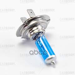 Купить ЛАМПА H7 12V (55W) POWER LIGHT H7 12V (55W) PX26D 31CA13PL