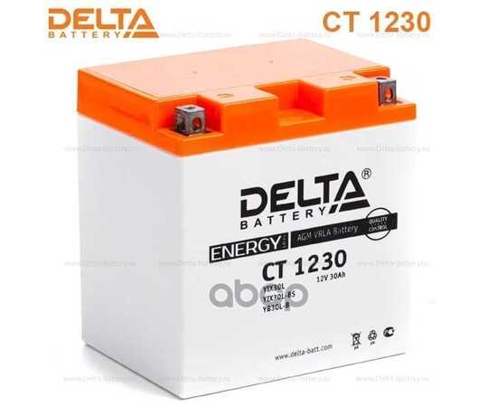 Купить АККУМУЛЯТОР DELTA BATTERY МОТО AGM 30 А/Ч ОБРАТНАЯ R+ 168X126X175 CCA300 А