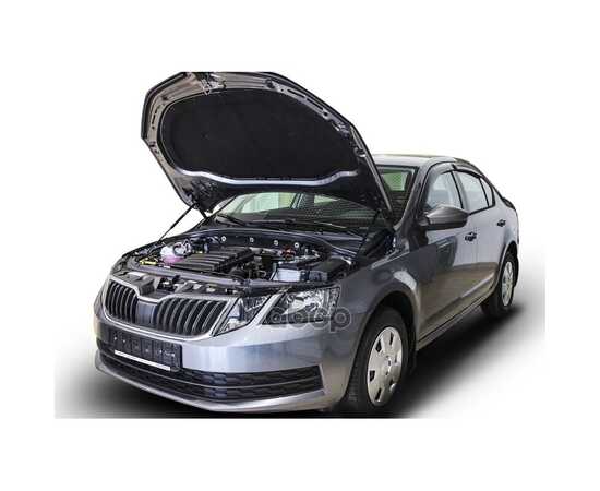 Купить ГАЗОВЫЕ УПОРЫ КАПОТА АВТОУПОР ДЛЯ SKODA OCTAVIA A7 2013-2019, 2 ШТ., USKOA7012