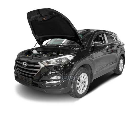 Купить ГАЗОВЫЕ УПОРЫ КАПОТА АВТОУПОР ДЛЯ HYUNDAI TUCSON III 2015-2018 2018-Н.В., 2 ШТ., UHYTUC011