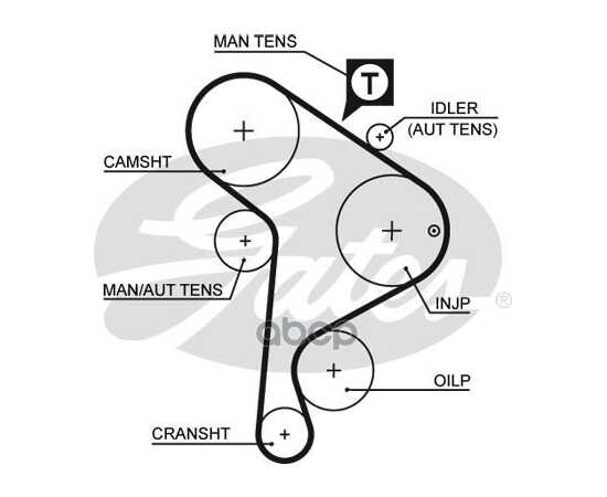 Купить РЕМЕНЬ ГРМ GATES 5223XS
