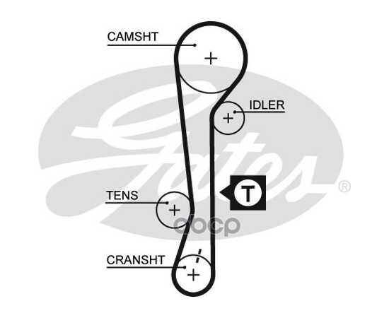 Купить РЕМЕНЬ ГРМ GATES 5479XS