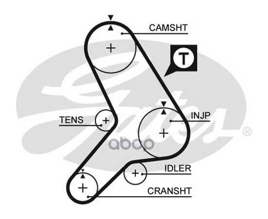 Купить РЕМЕНЬ ГРМ GATES 5299