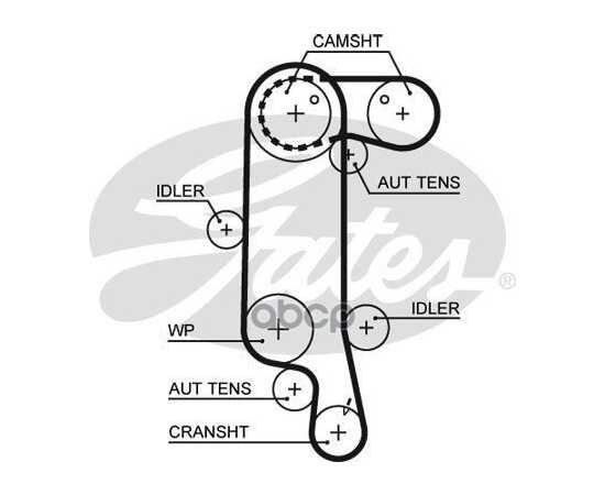Купить РЕМЕНЬ ГРМ GATES 5565XS