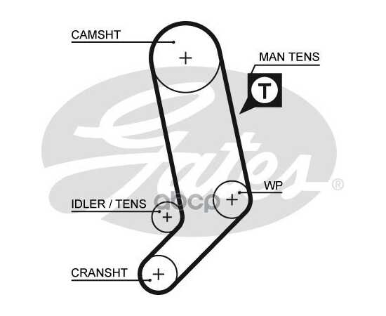 Купить РЕМЕНЬ ГРМ GATES 5323XS