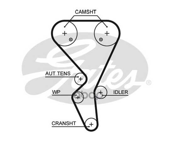 Купить РЕМЕНЬ ГРМ GATES 5581XS