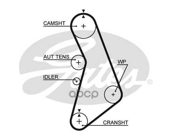 Купить РЕМЕНЬ ГРМ GATES 5491XS