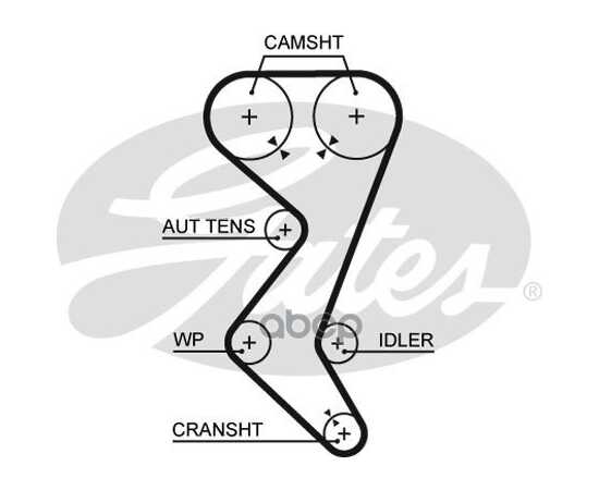 Купить РЕМЕНЬ ГРМ CITROEN C4/PEUGEOT 206/307 MOT.2.0L 16V 04-> GATES 5528XS