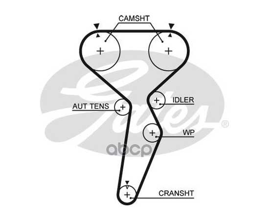 Купить РЕМЕНЬ ГРМ GATES 5514XS