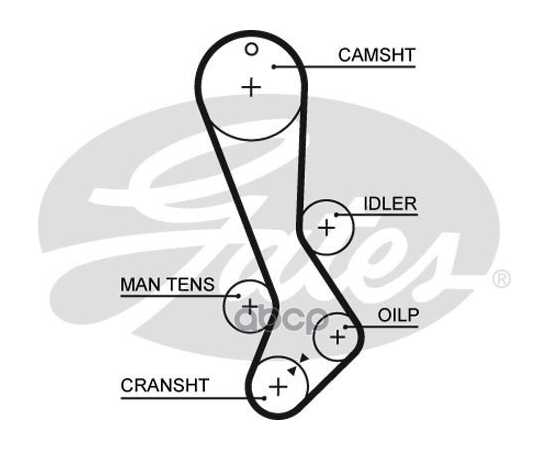 Купить РЕМЕНЬ ГРМ GATES 5282XS