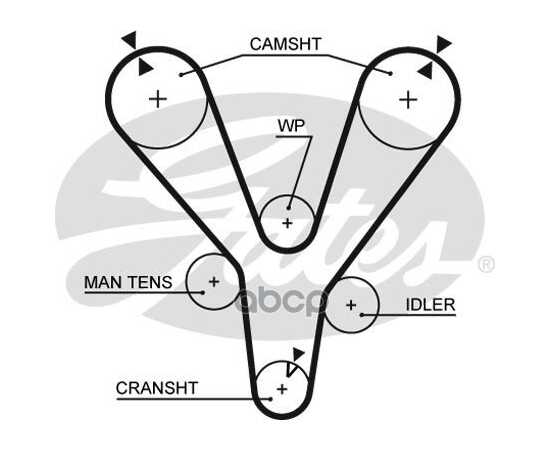 Купить РЕМЕНЬ ГРМ GATES 5555XS