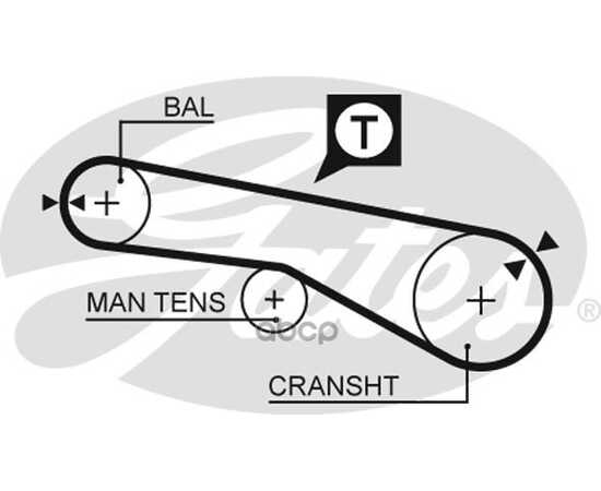 Купить РЕМЕНЬ ГРМ GATES 5257XS