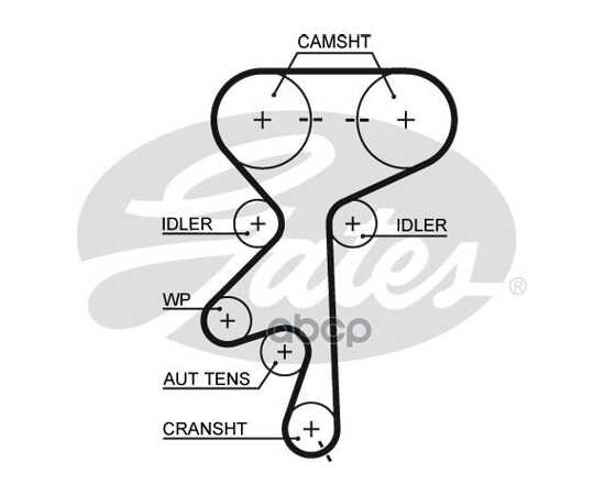 Купить РЕМЕНЬ ГРМ GATES 5499XS