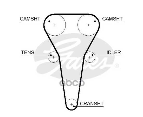 Купить РЕМЕНЬ ГРМ GATES 5567XS