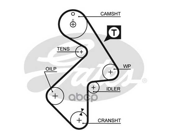 Купить РЕМЕНЬ ГРМ GATES 5202XS