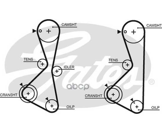 Купить РЕМЕНЬ ГРМ GATES 5373XS