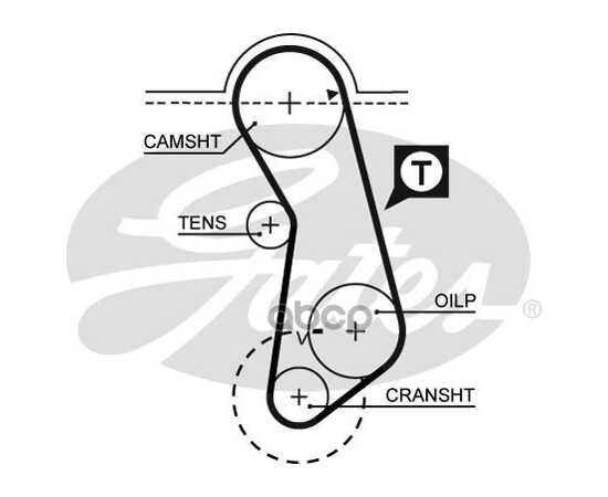 Купить РЕМЕНЬ ГРМ GATES 5016
