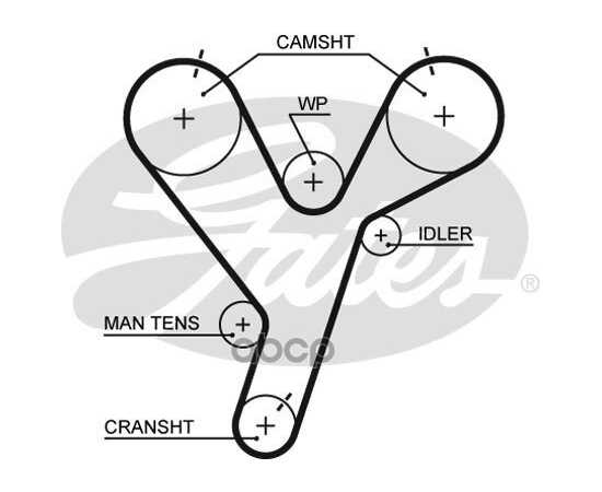 Купить РЕМЕНЬ ГРМ GATES 5446XS