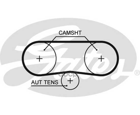 Купить РЕМЕНЬ ГРМ 58Z GATES 5516XS