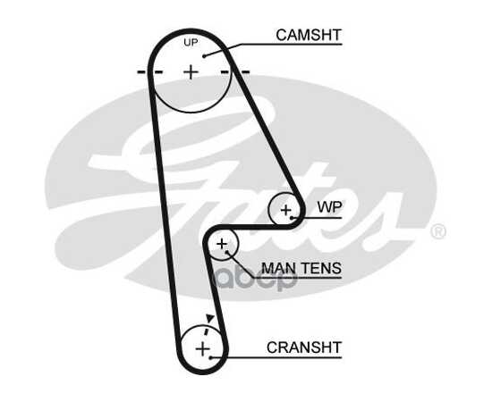 Купить РЕМЕНЬ ГРМ GATES 5529XS