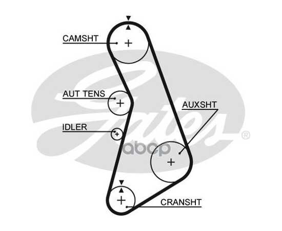Купить РЕМЕНЬ ГРМ GATES 5492XS
