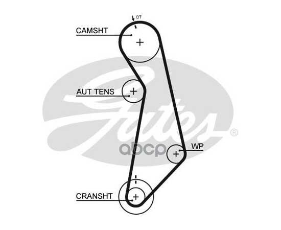 Купить РЕМЕНЬ ГРМ GATES 5489XS