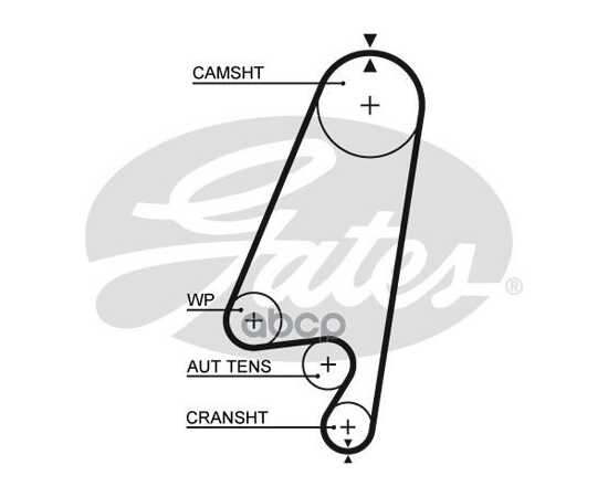 Купить РЕМЕНЬ ГРМ GATES 5367XS