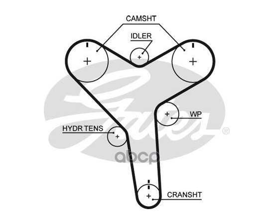 Купить РЕМЕНЬ ГРМ GATES T257