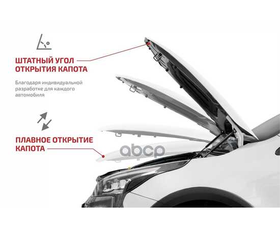 Купить ГАЗОВЫЕ УПОРЫ КАПОТА АВТОУПОР ДЛЯ KIA CEED II 2012-2018, 2 ШТ., UKICEE012