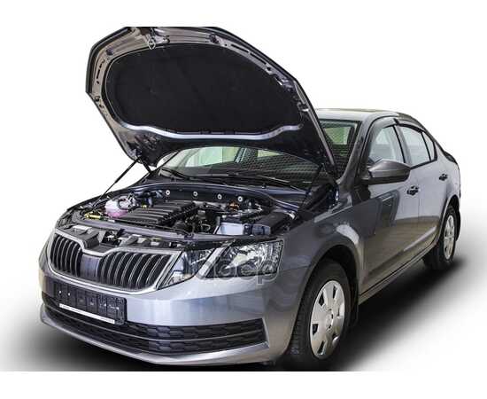 Купить ГАЗОВЫЕ УПОРЫ КАПОТА АВТОУПОР ДЛЯ SKODA OCTAVIA A7 2013-2019, 2 ШТ., USKOA7012