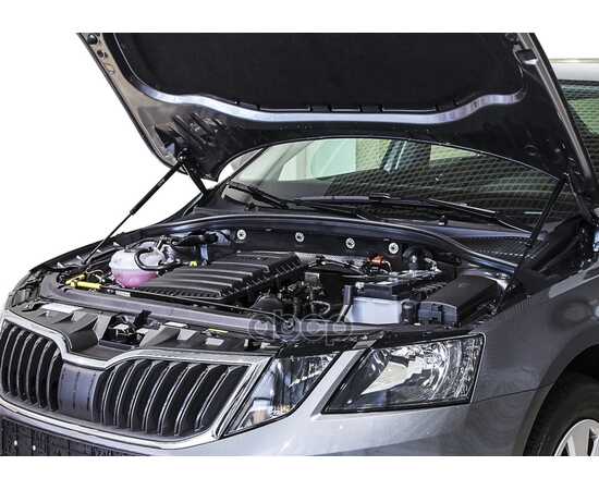 Купить ГАЗОВЫЕ УПОРЫ КАПОТА АВТОУПОР ДЛЯ SKODA OCTAVIA A7 2013-2019, 2 ШТ., USKOA7012