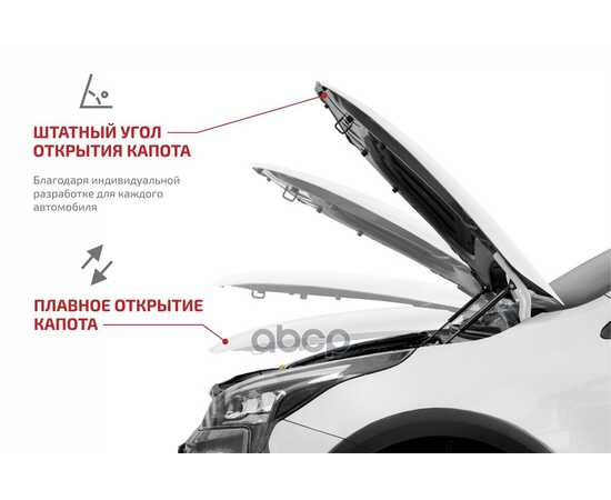 Купить ГАЗОВЫЕ УПОРЫ КАПОТА АВТОУПОР ДЛЯ NISSAN QASHQAI I 2006-2014, 2 ШТ., UNIQAS012