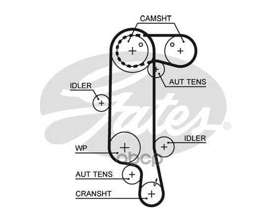 Купить РЕМЕНЬ ГРМ GATES 5565XS