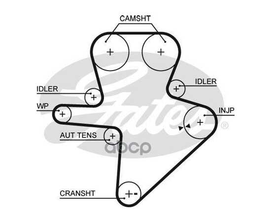 Купить РЕМКОМПЛЕКТ ГРМ GATES K015586XS