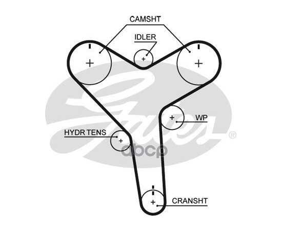 Купить РЕМЕНЬ ГРМ GATES T257