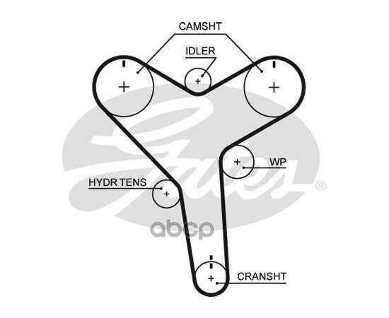 Купить РЕМЕНЬ ГРМ GATES T257