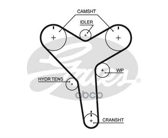 Купить РЕМЕНЬ ГРМ GATES T257