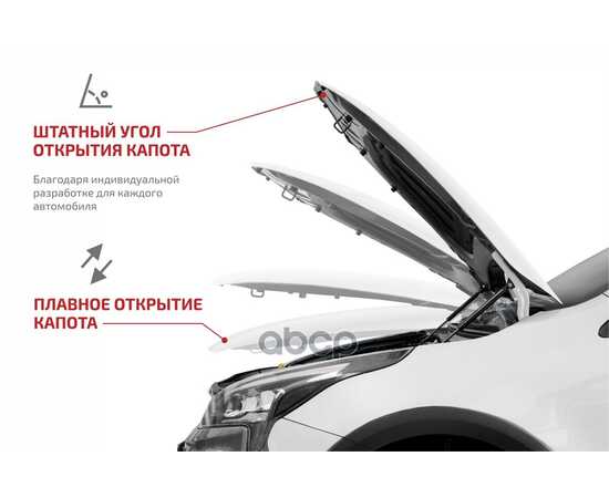 Купить ГАЗОВЫЕ УПОРЫ КАПОТА АВТОУПОР ДЛЯ SKODA OCTAVIA A7 2013-2019, 2 ШТ., USKOA7012