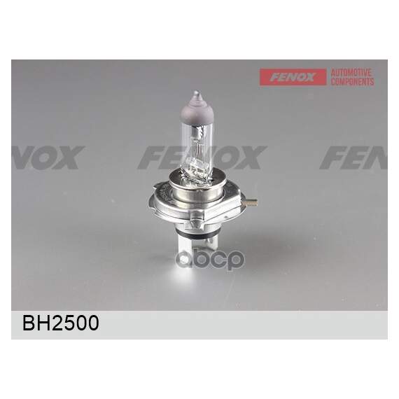 Купить ЛАМПА ГАЛОГЕННАЯ H19 12V 60/55W PU43T-3 BH2500
