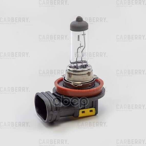 Купить ЛАМПА H8 12V (35W) DAY&NIGHT H8 (35W) 12V PGJ19-1 31CA8