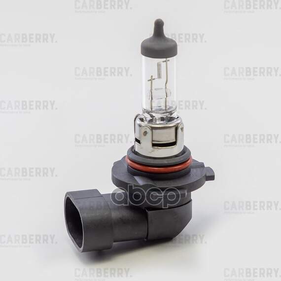 Купить ЛАМПА H10 12V (42W) DAY&NIGHT H10 12V (42W) PY20D 31CA4